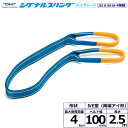 東レインターナショナル シグナルスリングHG SG4E 両端アイ形 4ton 幅100mm 長さ2.5m (40300)| トラック 吊具 スリングベルト 建設...