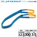 東レインターナショナル シグナルスリングHG SG4E 両端アイ形 12.5ton 幅300mm 長さ3.5m (40368)| トラック 吊具 スリングベルト...