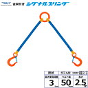 東レインターナショナル 金具付シグナルスリング KDRF 2点吊 3ton 幅50mm 長さ2.5m (40627)| トラック 吊具 スリングベルト 建設現場...