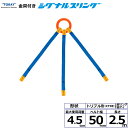 東レインターナショナル 金具付シグナルスリング KTRE 3点吊 4.5ton 幅50mm 長さ2.5m (40702)| トラック 吊具 スリングベルト 建設...