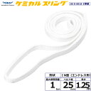 東レインターナショナル ケミカルスリング C1N エンドレス形 1ton 幅25mm 長さ1.25m (41176)| トラック 吊具 スリングベルト 建設現場...