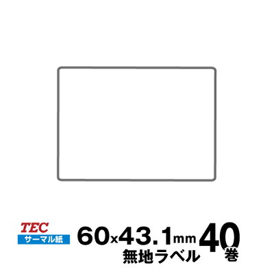 【楽天市場】TEC(テック)純正 KP-20/KP-30 標準ラベル 10019041665 フリーラベル サーマル紙 サイズ 幅60mm×
