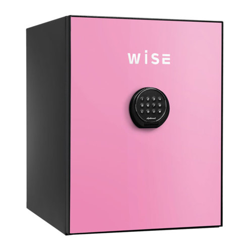 【搬入設置料金込み】テンキー式 WISE耐火金庫 ディプロマット WS500ALP ピンク 重量65kg 耐火時間1時間 /テンキー錠タイプ | 家庭用 耐火 耐火金庫 家庭用金庫 貴重品 テンキー金庫 セキュリティーボックス 業務用金庫 セーフティボックス 金庫 フロントパネル パーツ |
