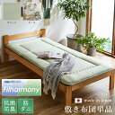 イケヒコ i森の眠り 敷き布団 140×210cm ダブルロング (g6603769) | 敷き布団 ダブルロング 寝具 無地 ヒバエッセンス使用 『i森の眠り』 父の日 実用的 母の日 マット 敷マット 敷きマット ダブル敷き布団 ダブル しきふとん プレゼント お布団 敷布とん 布団 |