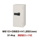 【SS期間中 P2倍】【車上渡し】(受注生産) 顔認証ロック式 耐火金庫 エーコー EIKO CSG-92FIDS 重量314kg 耐火時間2時間 /顔認証+カ...