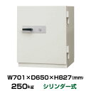 (受注生産品)【車上渡し】シリンダーキー式 耐火金庫 日本アイエスケイ DS-800X 重量250kg 準耐火時間1時間 /リバーシブル錠タイプ 日本製|データ...