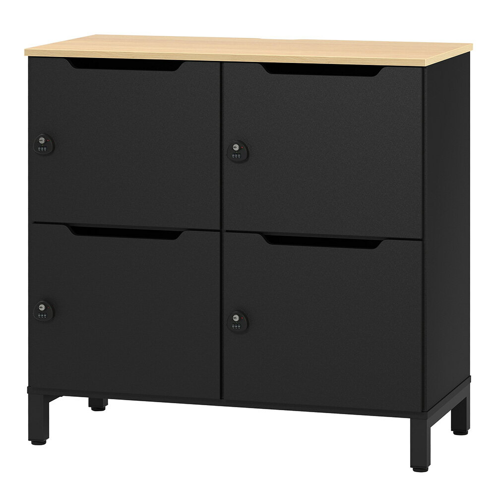 アール・エフ・ヤマカワ パーソナルロッカー 2列2段 ブラック×ブラック扉 (重量：55kg) RFPL-22BK-BKD ..