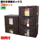 窓付き収納ボックス 3個セット Lサ