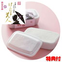 太田さんのこだわり洗剤 はんなり美人 洗剤 セッケン 台所用洗剤 食器 野菜 固形 手に優しい 無香料 無着色 安全 果物 タイル キッチン用洗剤 掃除 水仕事...