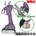 コードレス電動剪定はさみ 強力 枝切り太郎 枝切っ太郎 ASH-30 剪定ハサミ 剪定鋏 枝切太郎 電動 コードレス 電池式 枝切りばさみ 電動ハサミ 園芸 果...
