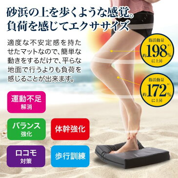 《500円クーポン配布中》 体幹エクサマット ステッパ— 歩行訓練 足踏み ジャンプ運動 足踏み運動 有酸素運動 運動器具 ダイエット器具 運動 体幹マット 運動不足解消 自宅 健康維持 運動不足解消法 健康 筋肉 ウォーキング ブラック ミントグリーン 足首強化 エクササイズ