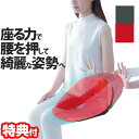ボードクッション コシオス 骨盤矯正クッション 骨盤矯正椅子 骨盤チェアー 骨盤矯正椅子 お尻 男女兼用 前傾 後傾 背筋 S字ライン 美しい姿勢 美姿勢 いす...