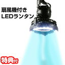 天井扇風機 LEDライト 天井掛け式 天