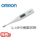 オムロン 電子体温計 けんおんくん MC-6740 体温計 予測式 OMRON 検温君 けんおん君 管理医療機器 30秒測定 スピード測定 予測検温 実測検温 温度計 オートパワーオフ 早い 予測 実測 検温 収納ケース メモリ機能 mc6740 ケンオンクン