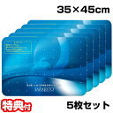 5枚セット サラリト除菌マット RS-L1245 玄関マット 35x45cm 除菌マット 出入口 トイレマット 除菌シート 靴除菌 足裏除菌 足マット さらりと...