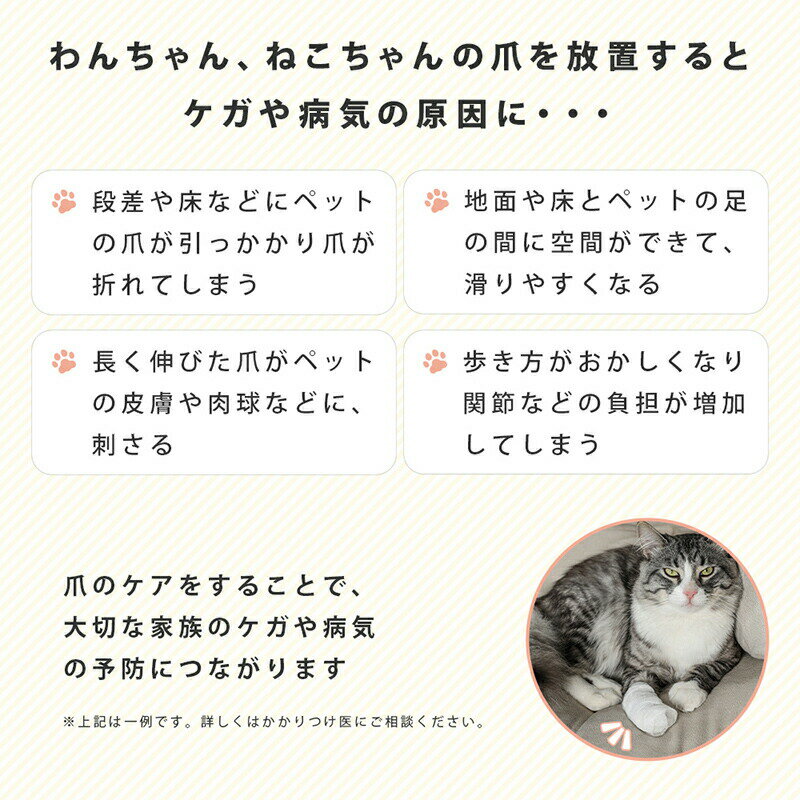�ڥå�����ư�ޥȥ�ޡ� �ޤ䤹�� �ޥȥ�ޡ� ��ǭ���� ǭ�� ����å� �ɥå� ���� ������ �淿�� �緿�� ��ư �޺�� ���ڤ� �ڥå����� �޺�� ��ư���ڤ� ��ư�ȥ�ޡ� �ڥå��� �����ɥ쥹 ǭ �� �ͤ� ���� �ڥå��ѥȥ�ޡ� �ڥå������ڤ�