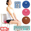 【選ぶ景品付き】 ランバークッションマスター LW-VG358 解説 DVD付き エアクッション トレーニング フィットネス エクササイズ 運動不足解消 トレーニングクッション 前傾姿勢 エクササイズ 椅子 床 座布団 デスクワーク 筋トレ 座り仕事 勉強 専用カバー付き 送料無料(4)