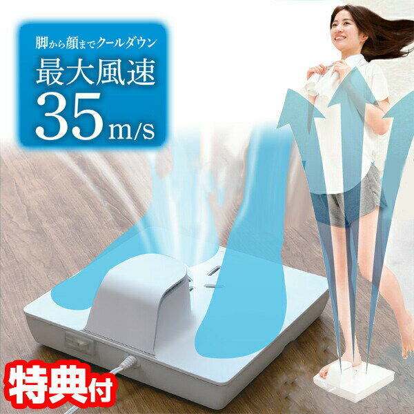 TV で紹介【選ぶ景品付】 サンコー のれる扇風機 お風呂あがり全身爽快 乗る扇風機 防水 乗れる扇風機 体重計型扇風機 ボディクーラー のる扇風機 小型扇風機 ボディドライヤー 脱衣所 洗面所 サーキュレーター 人間乾燥機 ボディクーラー 体乾燥機 thanko[8月末入荷予定]のサムネイル