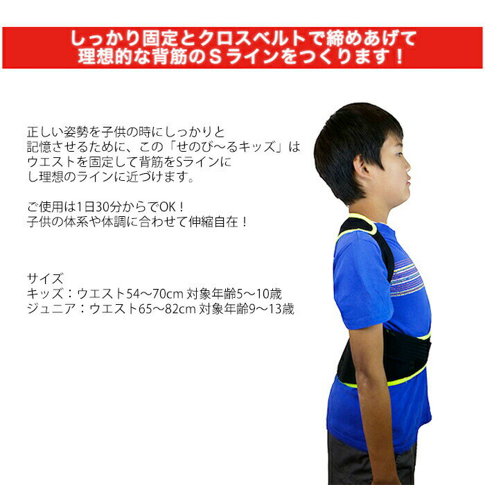 【選ぶ景品付き】 せのび〜るキッズ 日本製 姿勢矯正 矯正サポーター 補正ベルト猫背防止 伸縮自在 姿勢補正 矯正ベルト 猫背 背骨 背筋 矯正 補正 猫背矯正 姿勢 宿題 簡単 2サイズ 5歳〜13歳 アクセス せのびーる 牽引 身長