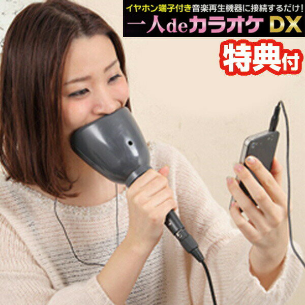 一人deカラオケDX カラオケマイク 特典【送料無料+ポイント】 防音カラオケマイク エコー機能内蔵 マイクカラオケ ホームカラオケマイク カラオケ練習 家庭用カラオケ 一人カラオケ 一人deカラ