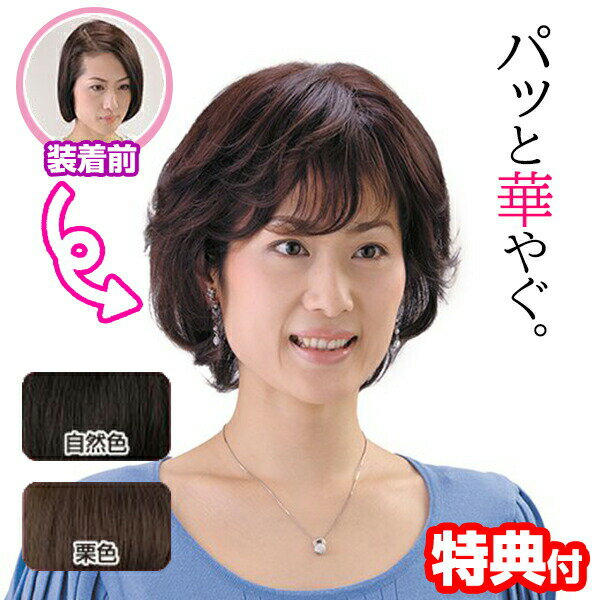 ソフトネットヘアピース SO-110 ヘアピース ウィッグ 部分ウィッグ ポイントウィッグ ミニヘアピース 人毛 人毛100 人毛100％ 前髪分け目 前髪 分け目 和装 つむじ つむじカバー 送料無料