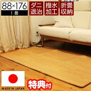 ホットカーペット フローリング調 1畳 本体 ホットマット ミニ 電気マット 撥水加工 ダニ退治 足元暖房 TWM-1000M 折りたたみ収納 電気カーペット ...