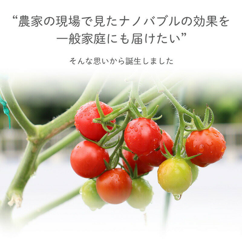【選ぶ景品】 ナノバブル 散水ノズル ドリテック ナノエアミスト FB-200 散水用 シ...