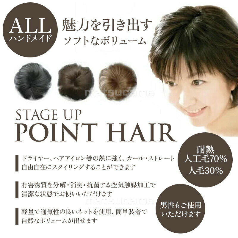 ポイントヘア Lサイズ 部分ウィッグ 分け目 薄毛 白髪隠し ヘアウィッグ 部分かつ...
