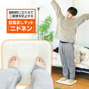 TVで紹介【選ぶ景品】 サンコー ニドネン ALMCARSNA 強制目覚ましマット にどねん 二度寝防止 目覚ましマット 寝坊対策 めざましマット 目覚まし時計...
