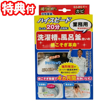 根こそぎ革命 宮崎化学 業務用洗濯槽クリーナー 洗濯槽や風呂釜洗いの根こそぎ革命 発砲促進剤付き 日本製