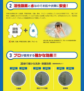 根こそぎ革命 宮崎化学 業務用洗濯槽クリーナー 洗濯槽や風呂釜洗いの根こそぎ革命 発砲促進剤付き 日本製