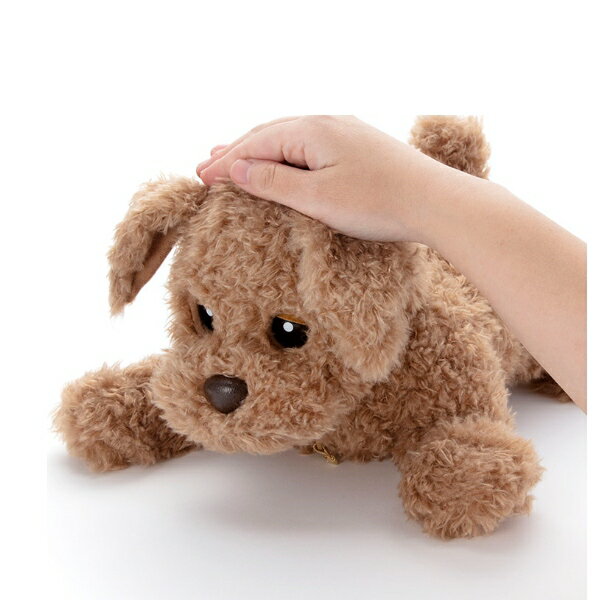 500円クーポン配布 もっとおりこうダッキー タカラトミー ぬいぐるみ 犬 加圧エクサパンツ おしゃべり おしゃべり 御悧巧 わんちゃん しゃべるぬいぐるみ ヒーリングパートナー お利口 御利巧 御利口 御悧巧 ダッキー Dacky 日本ネット通販 健康器具 美顔器おしゃべり