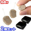 超小型集音器 スーパーミニ 両耳用2個セット 肌色 耳穴式集音器 集音機 目立たず自然な着け心地 1円玉より小さい テレビ 音声 年配者