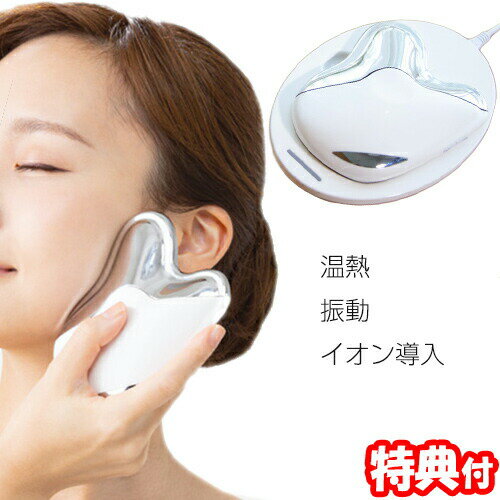 島田流 温巡かっさ プロイデア 美顔器 温熱 振動 イオン導入 カッサプレート カッサ かっさプレート かっさマッサージ トータルケアかっさ 島田流かっさ エステ サロン 自宅 送料無料のサムネイル