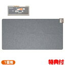 ホットカーペット 1畳用 TMC-100 176×88cm 電気カーペット ダニ退治機能 床暖房 ホットマット 電気マット ホットカーペット本体 足元暖房 送料...