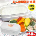 ミニ炊飯器 BWS-DSJ01 W ホワイト 20分でご飯が炊ける おかずも同時調理 炊飯器弁当箱 簡単にご飯とおかずが同時に作れる 弁当 炊飯器 お1人様用弁...
