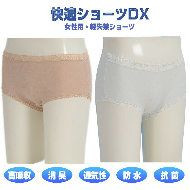 快適ショーツDX 6枚組 女性用 婦人用 失禁パンツ 尿漏れパンツ 介護パンツ 布タイプ 給水パッド 尿漏れ対策 失禁対策 快適ショーツデラックス ベージュ3枚 ライトブルー3枚 軽失禁 尿漏れ 介護 お出かけ 失禁 尿漏れ ちょい漏れ 軽失禁 2