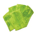 パルテックス キッチン用 5枚セット グリーン 元祖汚れないクロス 万能クロス 水拭きクロス お掃除クロス 万能ぞうきん