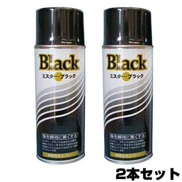 【2個セット】 瞬間染毛スプレー ミスターブラック 200g 3特典【送料無料+お米＋ポイント】 気になるところにシュッとひとふき かんたん白髪染めスプレー mrブラック 瞬間 染毛スプレー