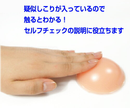 乳がん触診モデル（しこりチェッカー） 疑似しこり入りゲル 乳がん検診 の説明に 乳がん自己触診 乳がんチェック 乳癌検診 体験用 送料無料