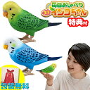 毎日おしゃべり 天才インコちゃん 音声認識人形 お話し人形 おしゃべりロボット 毎日お喋り しゃべる人形 天才インコチャン おもちゃ 誕生日 プレゼント ギフト 脳トレ ギフト プレゼント