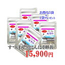 【送料無料】【すっぽんにんにく卵黄佐賀野12g5袋×プラス1袋】 黒にんにく玉 ニンニク にんにく 黒はねにんにく 健康 無添加 無農薬 健康食品 国産 サプリ...
