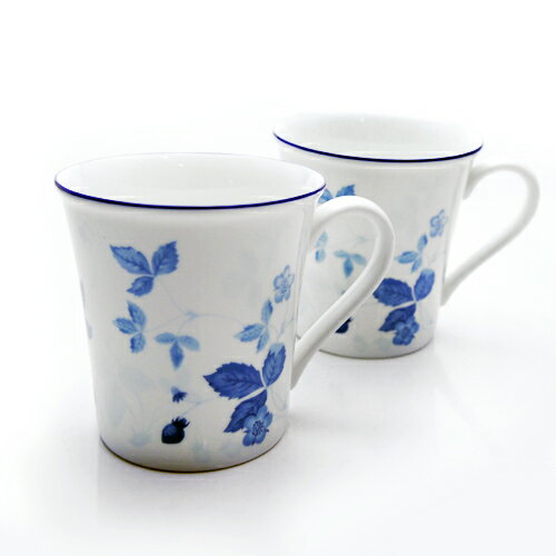 åå (WEDGWOOD) ȥ٥꡼֥롼 ӡޥåץڥ ڥ֥BOXդ