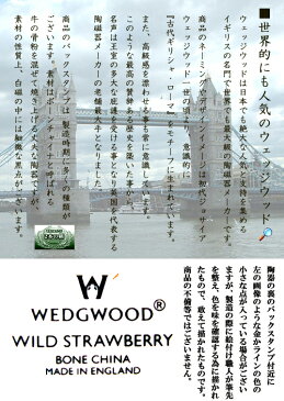 ウェッジウッド (WEDGWOOD) フロレンティーンターコイズ ピオニー ペアセット