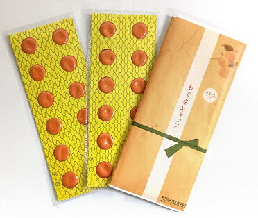 ホットブルーン用もぐさ24穴(ビワ)