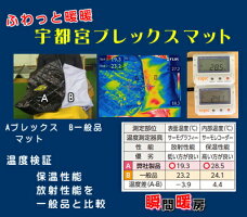 ふわっと暖暖「宇都宮ブレックスマット」新触感フェーズフリー宇都宮ブレックスコラボ商品スポーツ観戦暖かい軽い