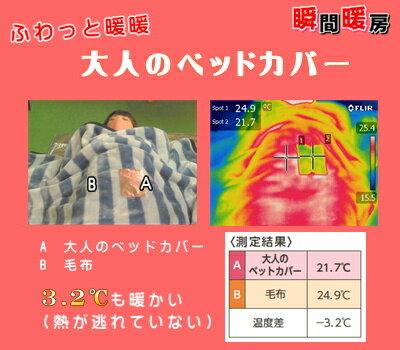 �դ�ä����ȡ�����ͤΥ٥åɥ��С��ס��ȥ���β��Ⱦ�����ڤ����Ȥ������٥åɥ��С���������η����Ϥ⤦���ס���˷���ա���Ϸ����