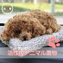 消臭！かわいい 犬 猫 置物 車 インテリア 活性炭 プードル ぬいぐるみ プレゼント シミュレーション ギフト 贈り物 動物 装飾ペット 雑貨 記念品 アニマル グッズ 一人暮らし 室内/車内用 自宅 ラブラドール ハスキー キャラクター