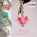 【特別価格★在庫処分★】ドライフラワー キーホルダー ボタニカル キーチェーン お花 乾燥 植物 キラキラ 標本 ハーバリウム ハート 北欧 かわいい ギフト プレゼント 小物 アクセサリー 透明 本物 綺麗 季節 自然派 自然の美し(4)