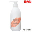 サロン専売シャンプー KESHIKI シャンプー 480mL 2個購入で送料を無料に変更 ケシキ 日本製 ヘアケア ヒートケア ダメージケア 髪 美容 サロン ...